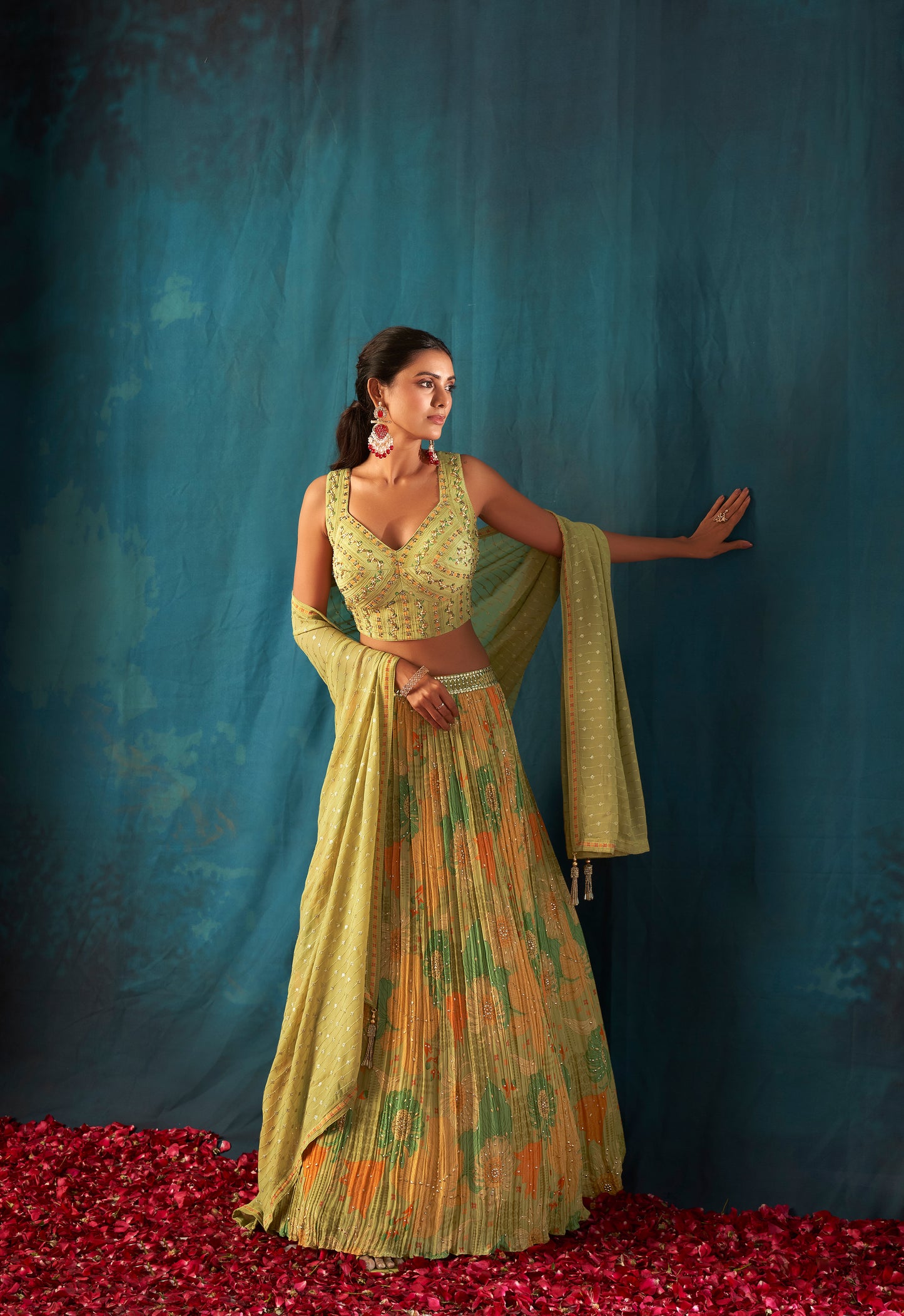 Shimmer Ghaghra Choli
