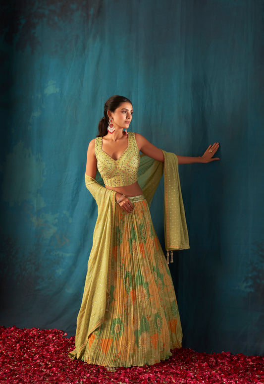 Shimmer Ghaghra Choli