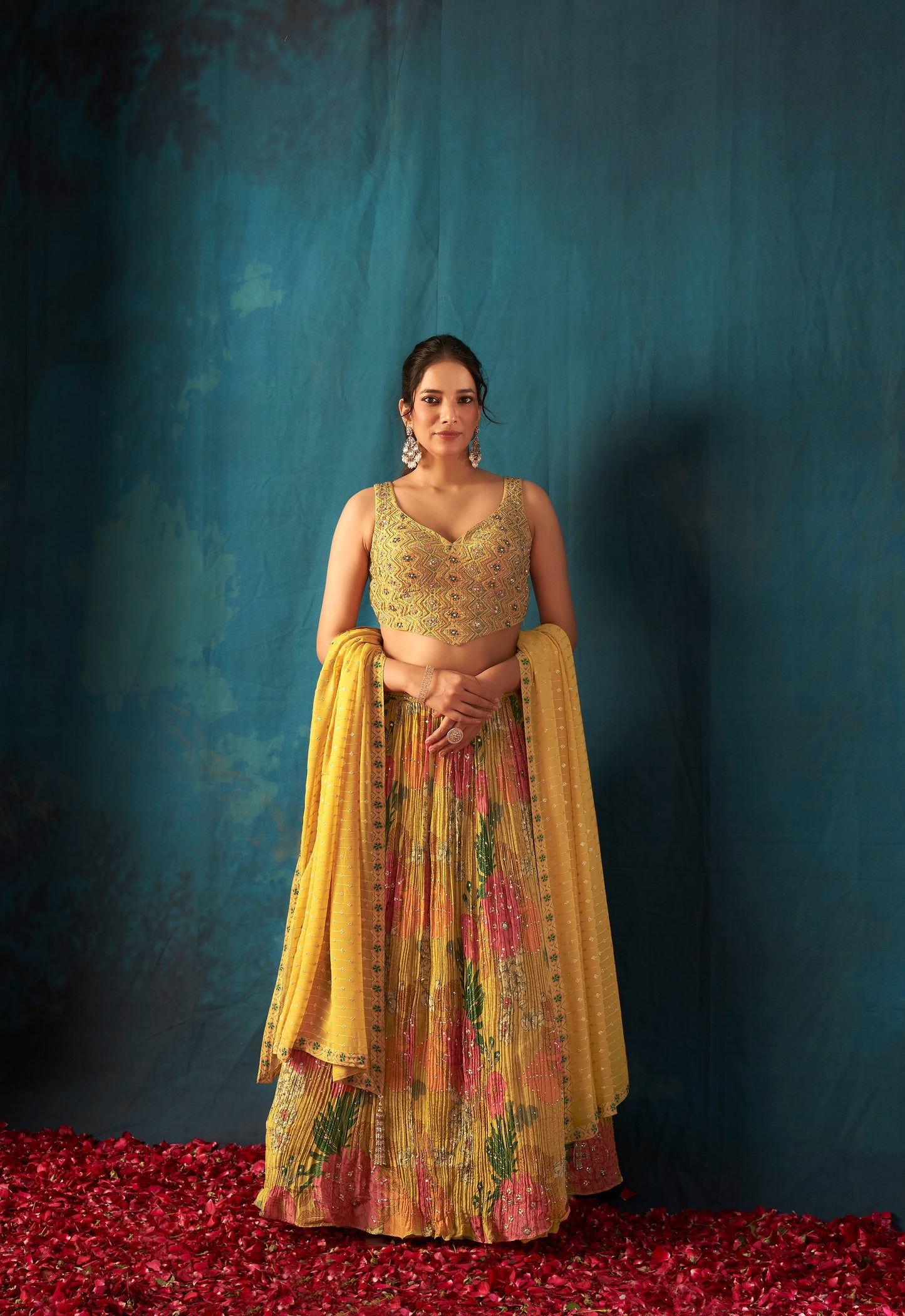 Shimmer Ghaghra Choli